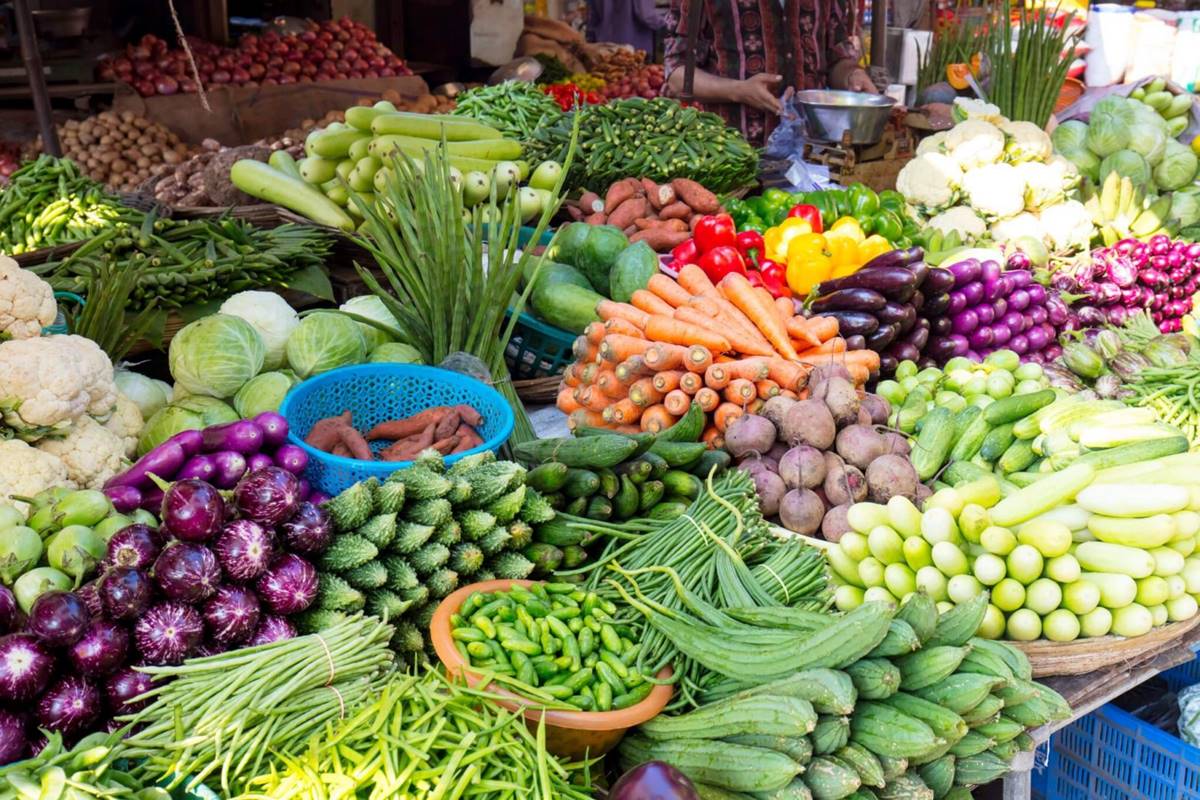 Vegetable Crops: बेमौसम बारिश से सब्जी की फसलों को भारी नुकसान