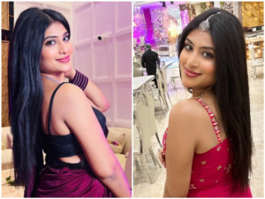 IAS Priyanka Goel